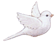 dove gif