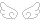 two angel wings